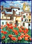 Papaveri 